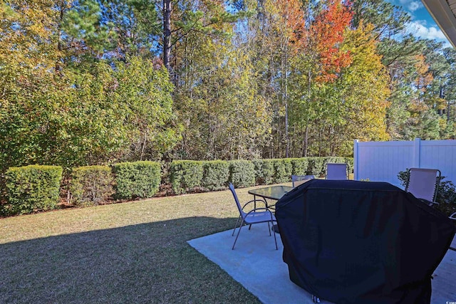 view of yard featuring a patio