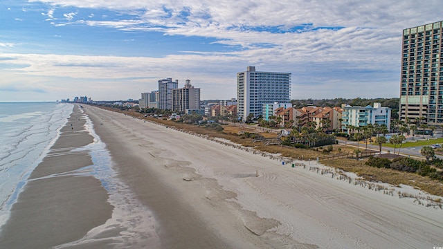 property view of water with a beach view