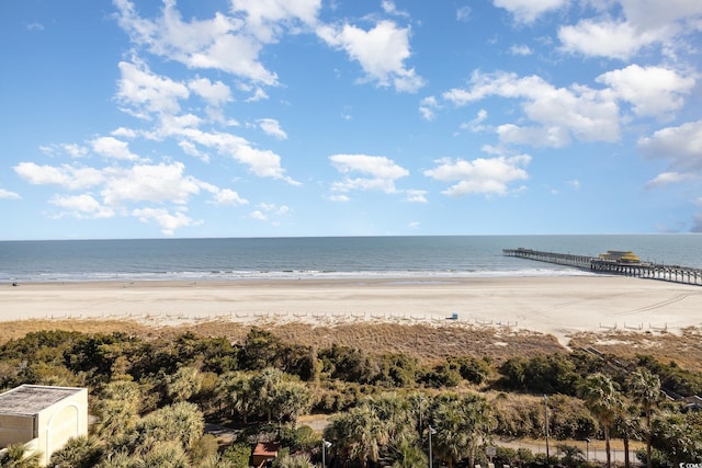 property view of water with a view of the beach