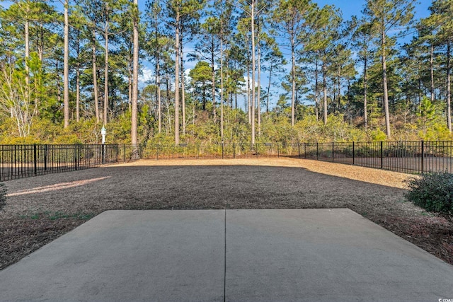 view of yard featuring a patio area