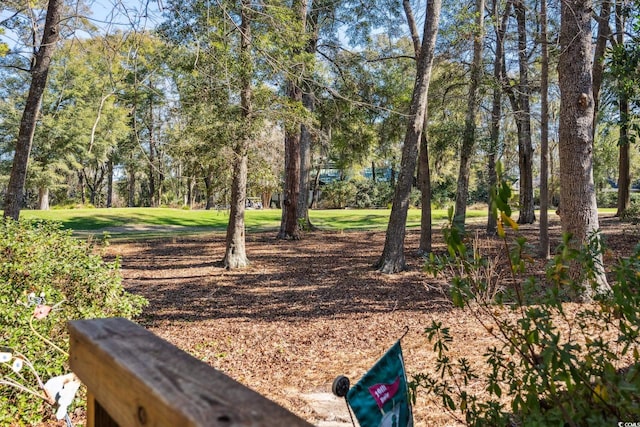 489-3 Golden Bear Dr Unit 3, Pawleys Island, SC 29585 - view of yard featuring view of scattered trees