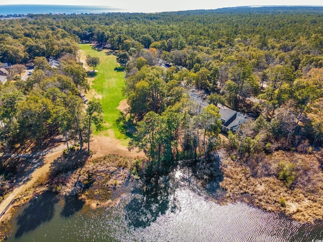 489-3 Golden Bear Dr Unit 3, Pawleys Island, SC 29585 - view of property location with a forest and a nearby body of water