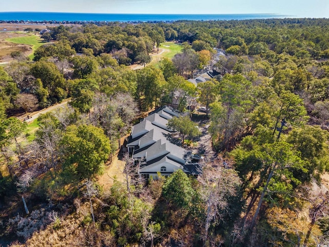 489-3 Golden Bear Dr Unit 3, Pawleys Island, SC 29585 - aerial view of property and surrounding area featuring a forest and a large body of water