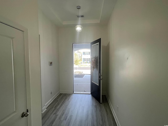 entryway with a raised ceiling and hardwood / wood-style flooring