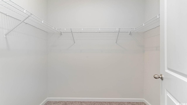 walk in closet with carpet floors