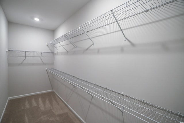 spacious closet featuring carpet floors