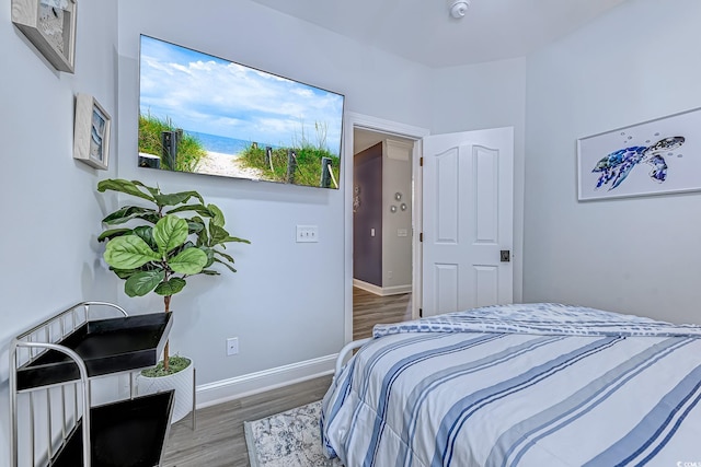 bedroom with hardwood / wood-style floors