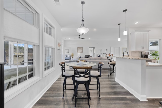 dining room with sink and dark wood-type flooring