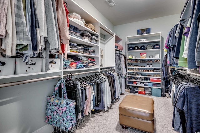 spacious closet with carpet