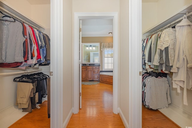 walk in closet with light wood-type flooring