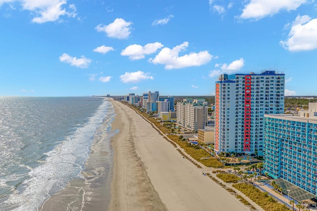 property view of water featuring a view of the beach