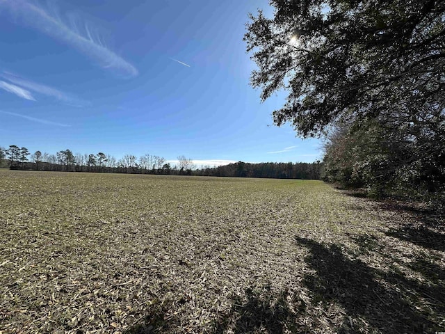 Listing photo 3 for 80.86ACRES-TBD Cedar Swamp Rd, Kingstree SC 29556