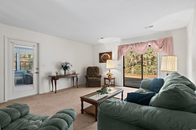 view of carpeted living room