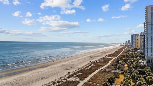 water view featuring a view of the beach