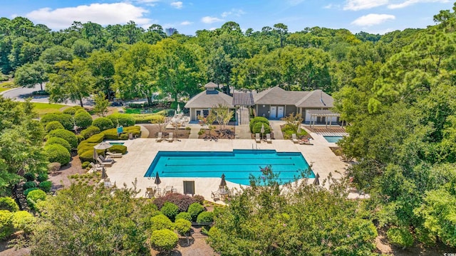 view of swimming pool with a patio area