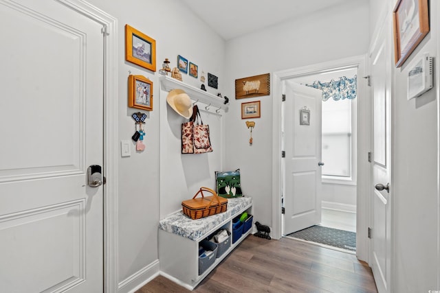 mudroom with baseboards and dark wood-type flooring