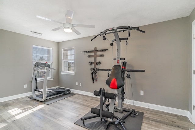 workout room featuring light hardwood / wood-style flooring and ceiling fan