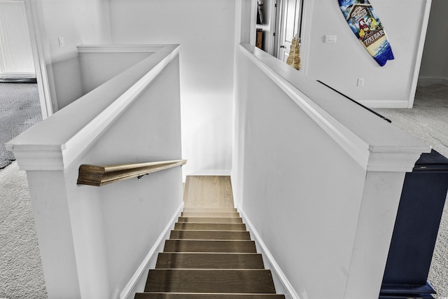 staircase with carpet flooring