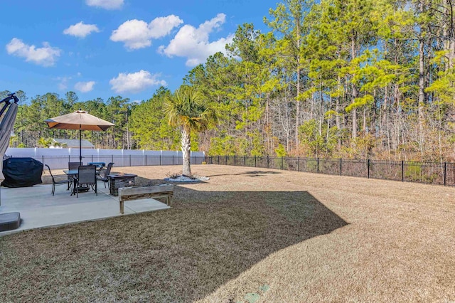 view of yard featuring a patio area