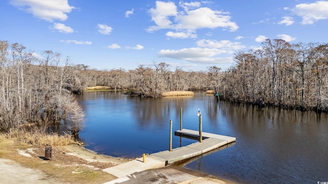 view of dock featuring a water view