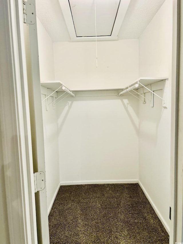 walk in closet with carpet