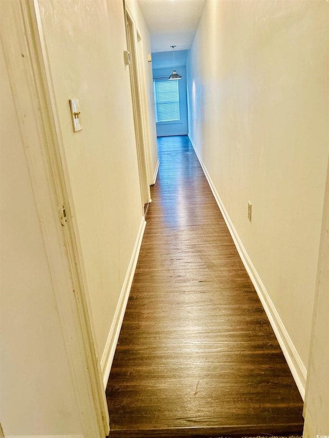 hallway with dark hardwood / wood-style floors