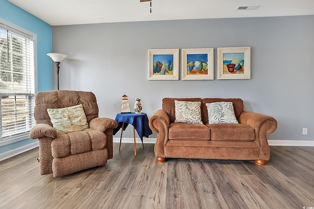 living room featuring wood-type flooring