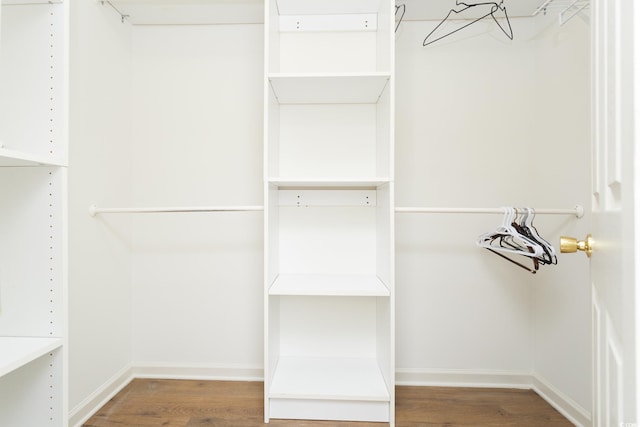 spacious closet with hardwood / wood-style floors