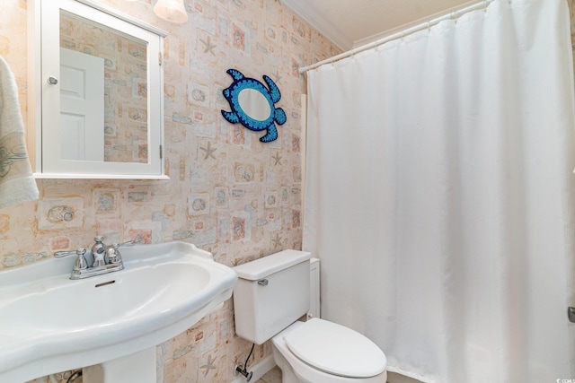 bathroom featuring sink and toilet