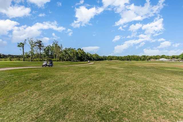 view of property's community featuring a yard