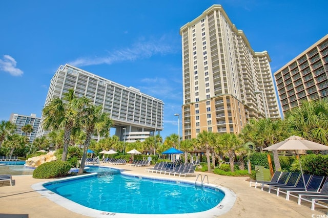 view of swimming pool featuring a patio