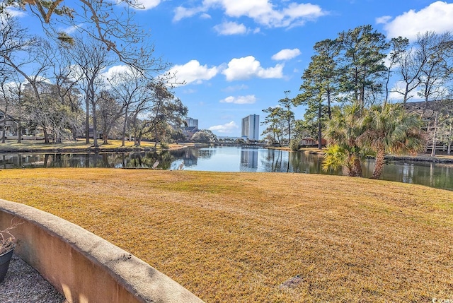 view of yard featuring a water view