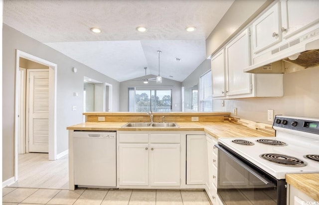 kitchen with electric range oven, dishwasher, a peninsula, under cabinet range hood, and a sink