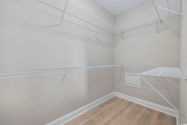 spacious closet featuring wood-type flooring