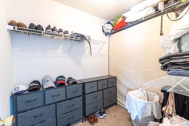 walk in closet with light colored carpet