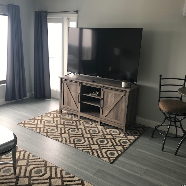 living room featuring light hardwood / wood-style floors