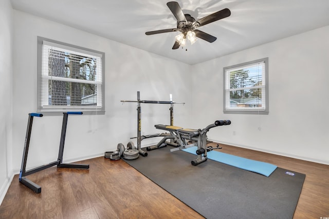 exercise area featuring hardwood / wood-style floors and ceiling fan