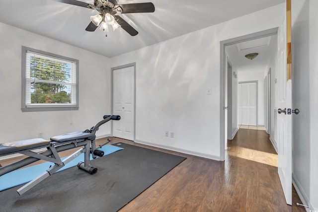 workout room featuring ceiling fan and dark hardwood / wood-style flooring