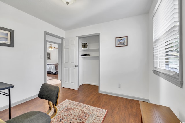 office space featuring dark hardwood / wood-style flooring