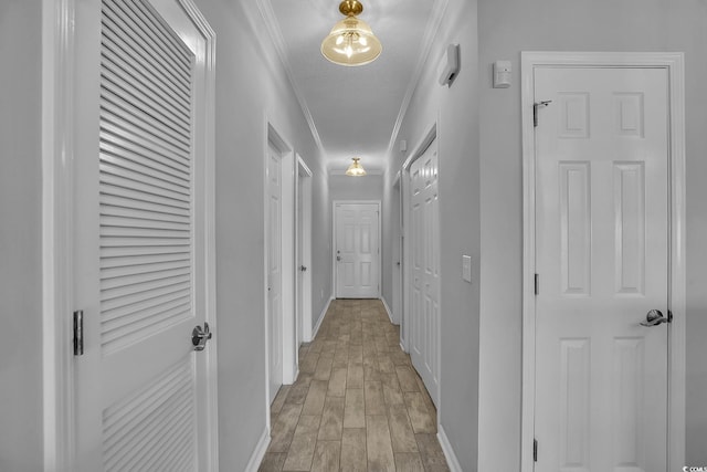 4200 Coquina Harbour Dr Unit H3, Little River, SC 29566 - corridor featuring light wood-style flooring, ornamental molding, and a textured ceiling