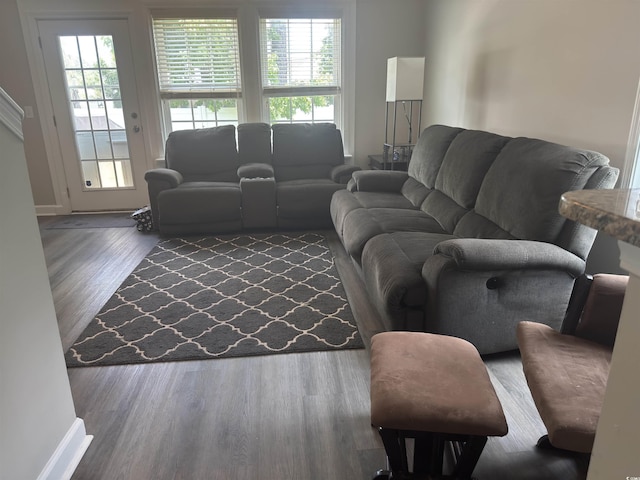 788 Rambler Ct, Myrtle Beach, SC 29588 - living area featuring wood finished floors