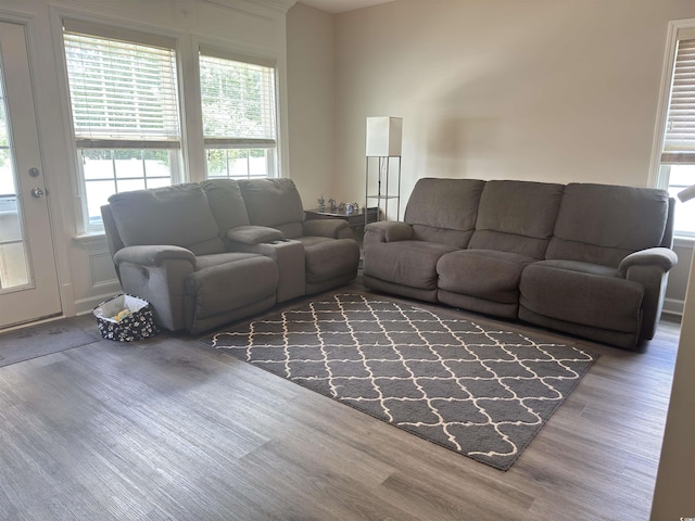 788 Rambler Ct, Myrtle Beach, SC 29588 - living room with wood finished floors