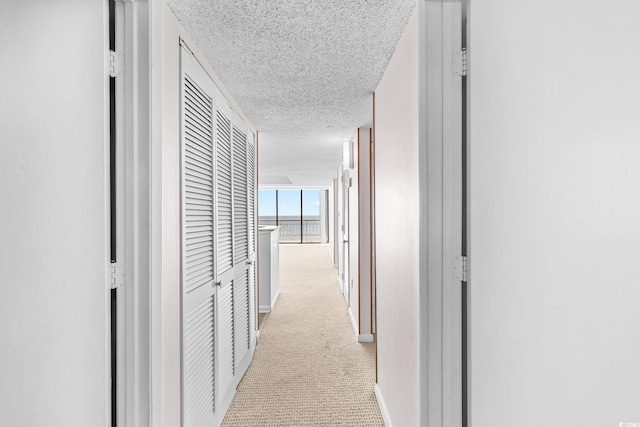 hall featuring light carpet and a textured ceiling