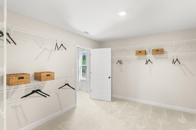 walk in closet featuring carpet flooring