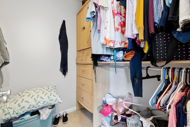 walk in closet featuring carpet