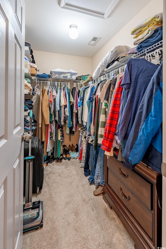 walk in closet featuring carpet and visible vents