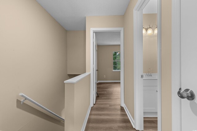 207 Townes Ct, Myrtle Beach, SC 29588 - photo 9