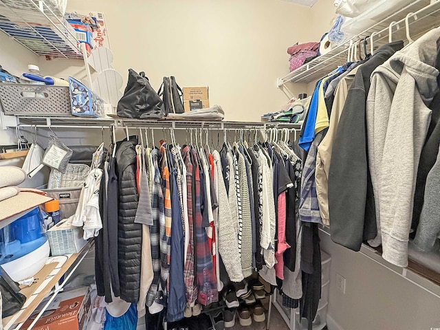 view of walk in closet