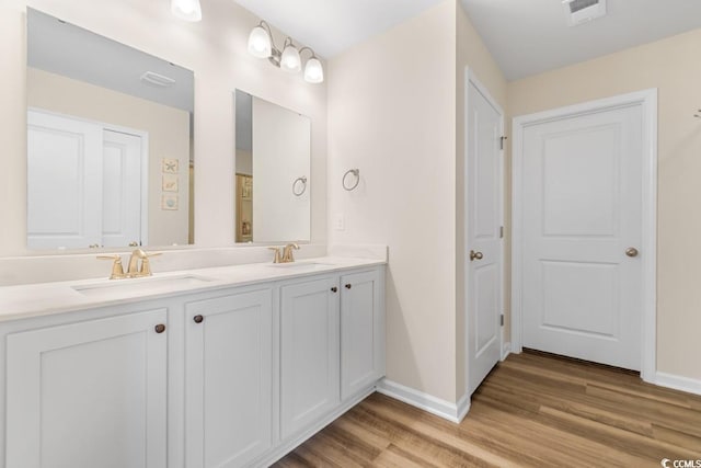 bathroom featuring wood-type flooring and vanity