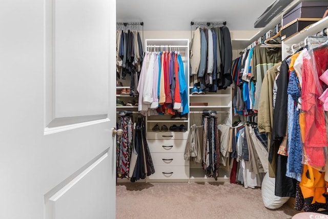 walk in closet featuring light colored carpet